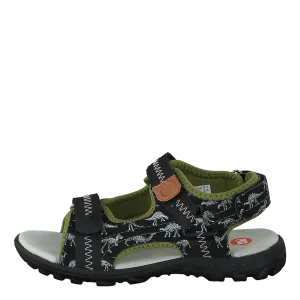 Beetle Black/green